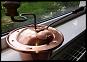 Copper Coffee Roaster
